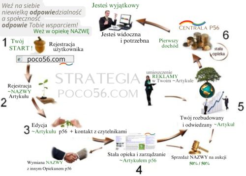 Schemat strategii w poco56