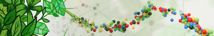 Baner3. poco56.com TYLDA